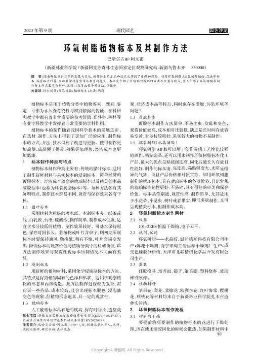 环氧树脂植物标本及其制作方法
