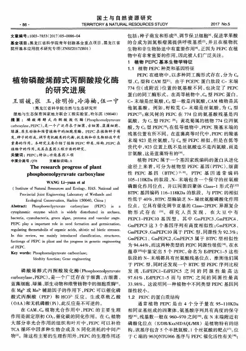 植物磷酸烯醇式丙酮酸羧化酶的研究进展