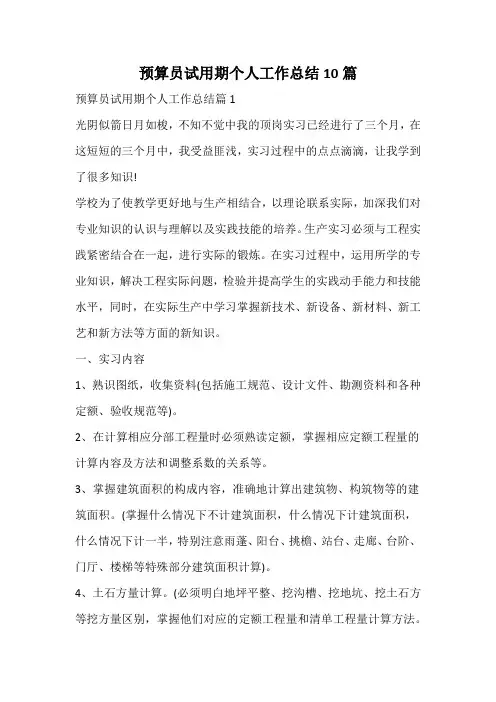 预算员试用期个人工作总结