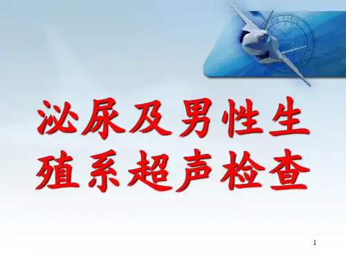 泌尿及男性生殖系超声检查(影像系)