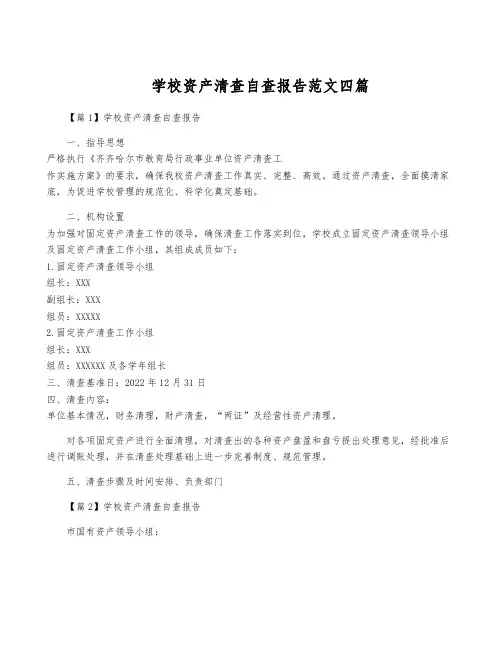学校资产清查自查报告范文四篇