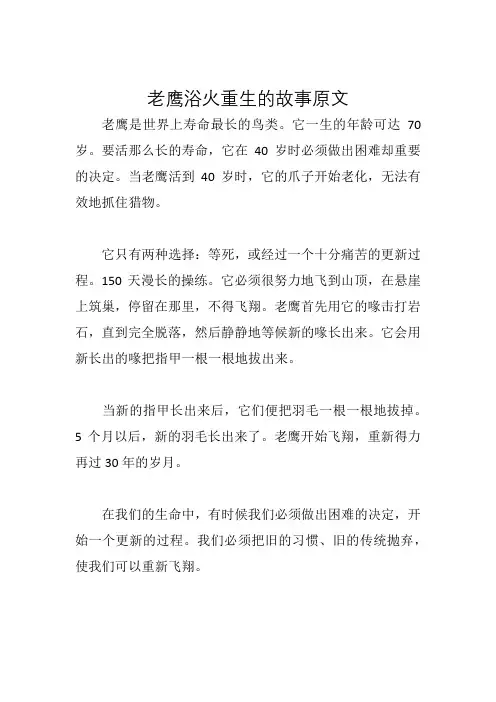 老鹰浴火重生的故事原文