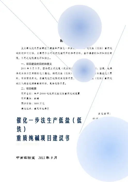 重庆新建2万吨低盐重质纯碱简略可行性报告(doc 14页)