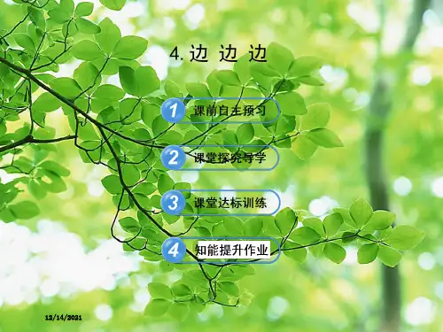 八年级数学下册 第19章 全等三角形 19.2全等三角形的判定 4边边边习题课件