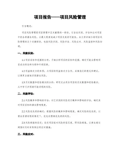 项目报告——项目风险管理