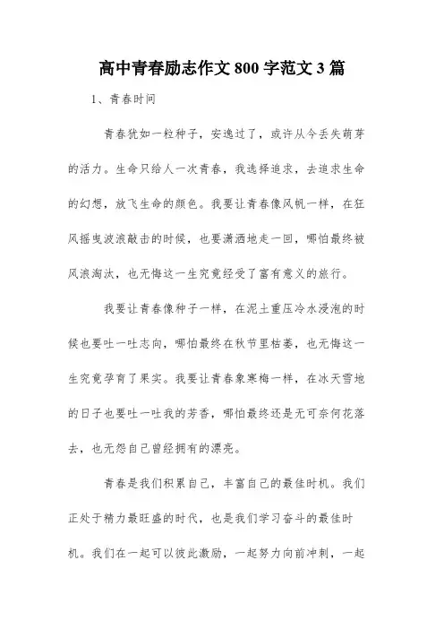高中青春励志作文800字范文3篇