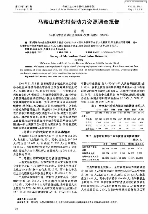 马鞍山市农村劳动力资源调查报告