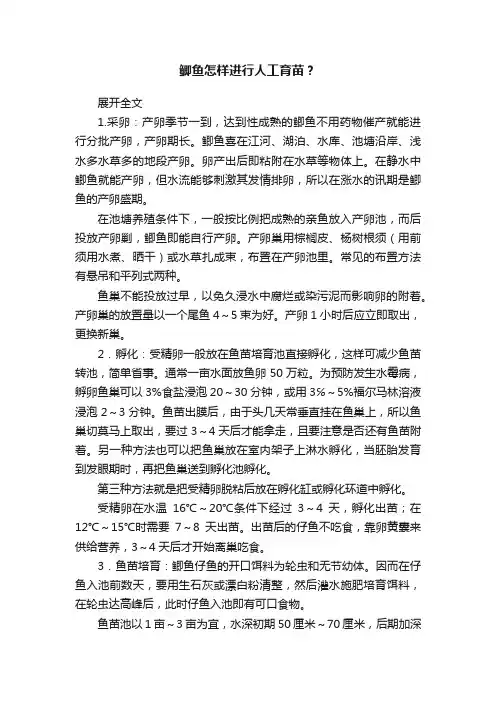 鲫鱼怎样进行人工育苗？