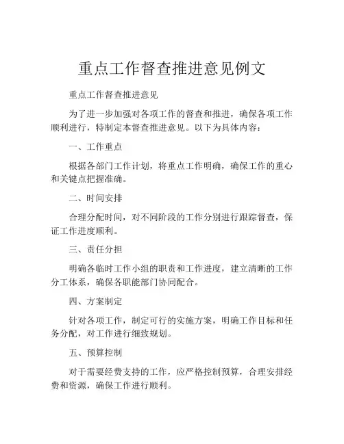 重点工作督查推进意见例文