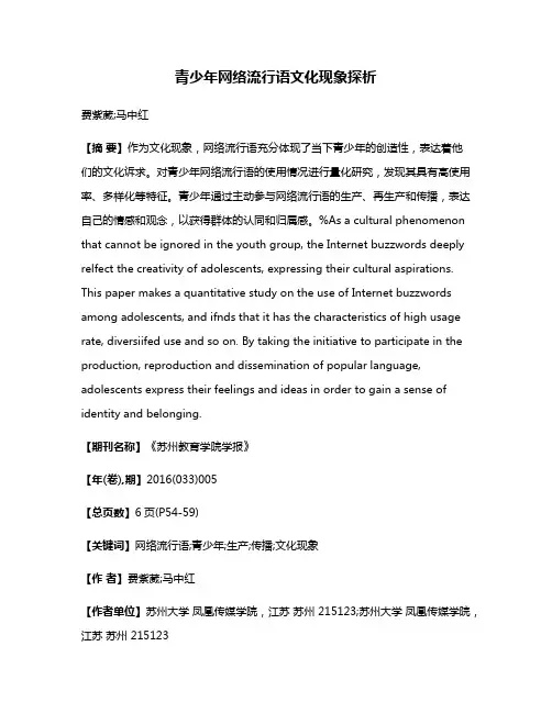 青少年网络流行语文化现象探析