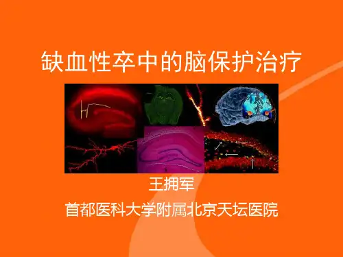 缺血神经保护(王拥军)