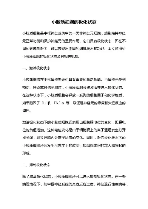 小胶质细胞的极化状态