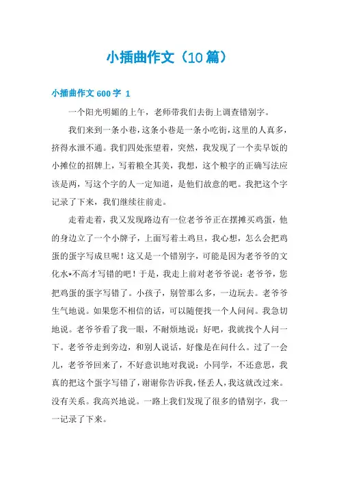 小插曲作文(10篇)
