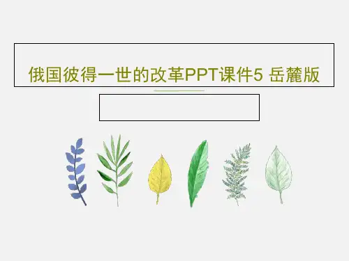 俄国彼得一世的改革PPT课件5 岳麓版PPT37页