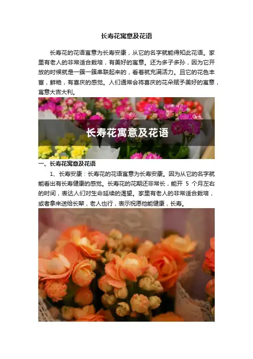 长寿花寓意及花语