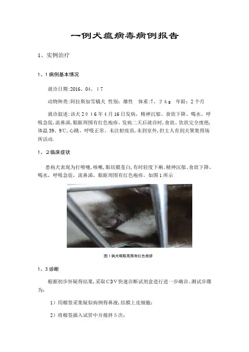 一例犬瘟病毒病例报告