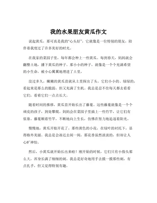 我的水果朋友黄瓜作文