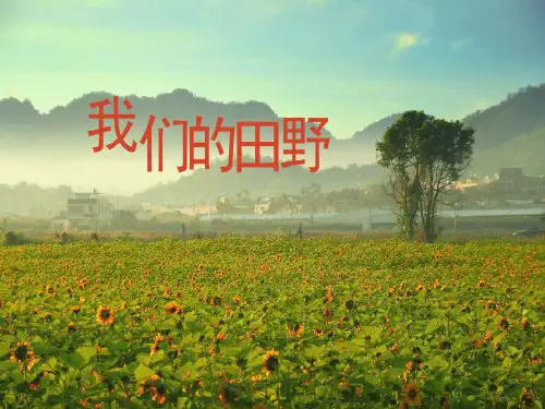 四年级音乐上册《我们的田野》PPT课件(3篇)