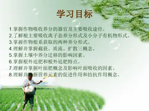 植物对养分的吸收