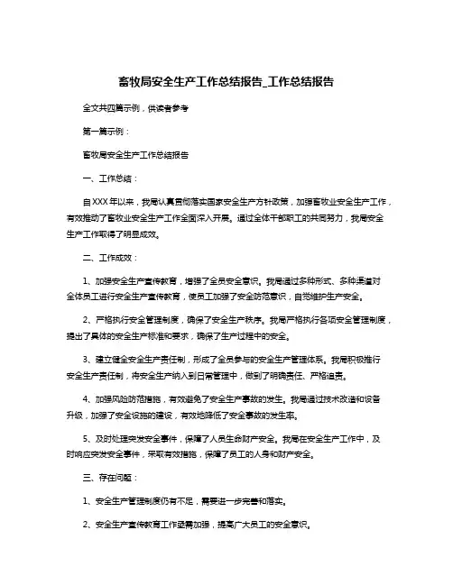 畜牧局安全生产工作总结报告_工作总结报告