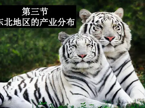 东北地区的产业分布ppt课件