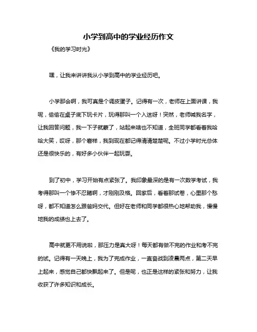 小学到高中的学业经历作文