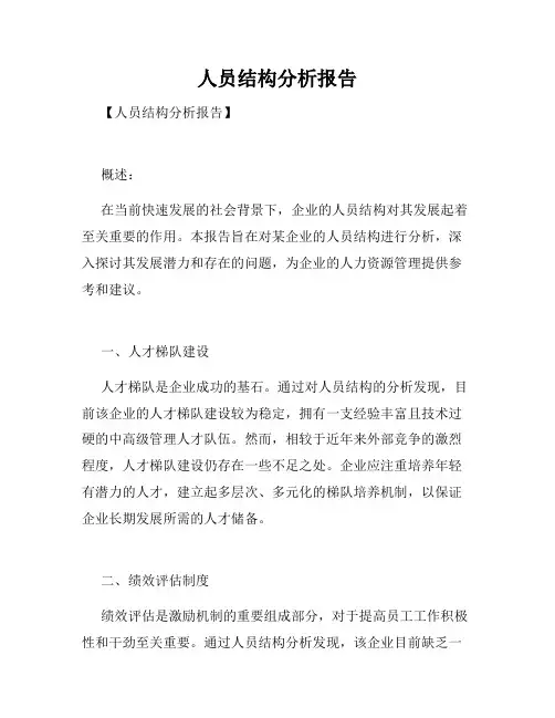 人员结构分析报告