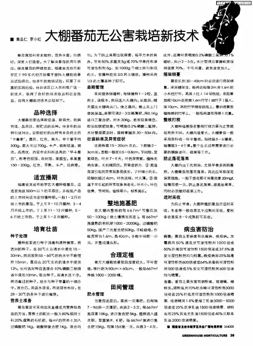 大棚番茄无公害栽培新技术