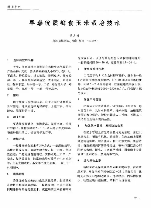 早春优质鲜食玉米栽培技术
