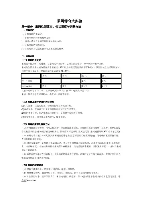 果蝇综合大实验