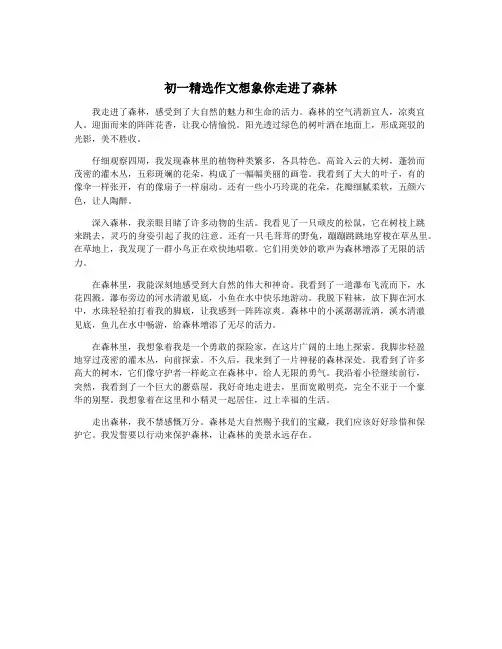 初一精选作文想象你走进了森林