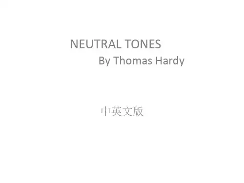 灰色调中英文版