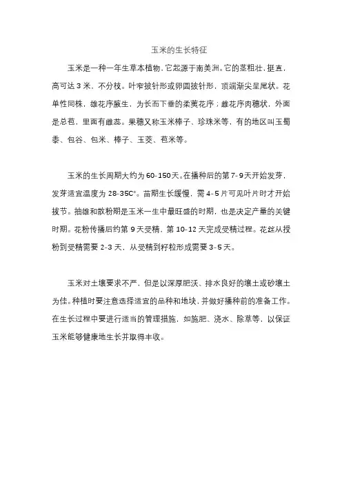 玉米的生长特征