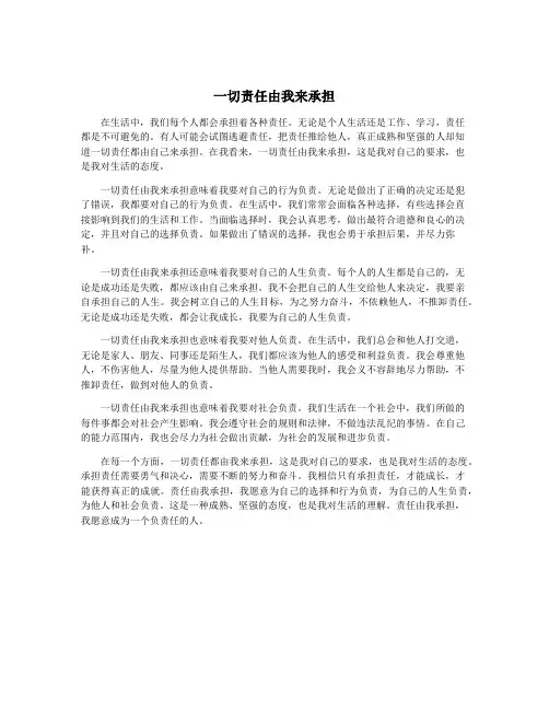 一切责任由我来承担