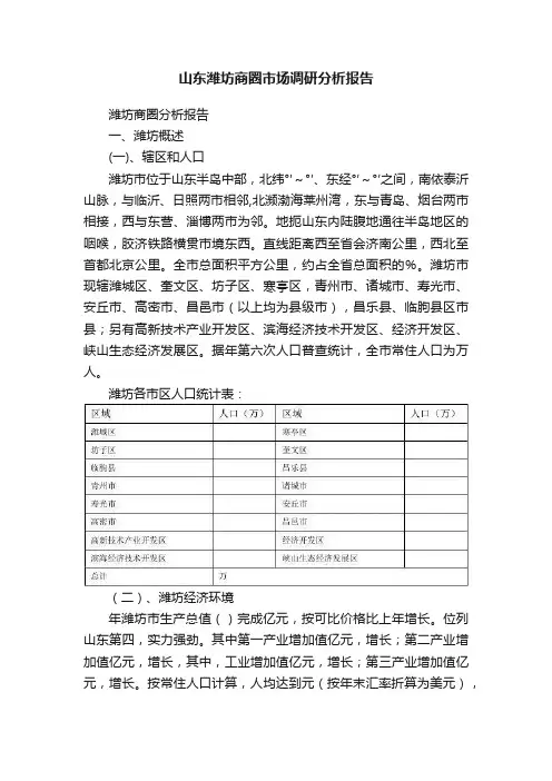 山东潍坊商圈市场调研分析报告