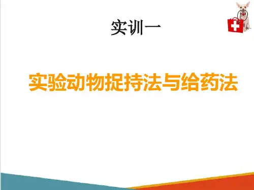 药理实操内容—实验动物捉支持法和给药法(动物药理学课件)