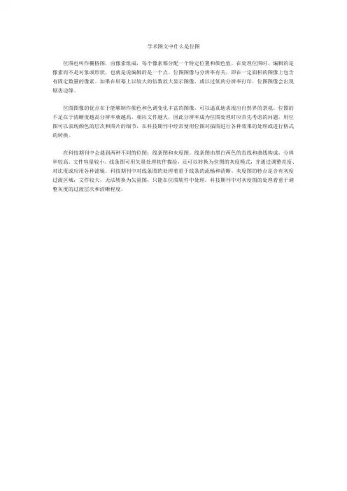 学术图文中什么是位图