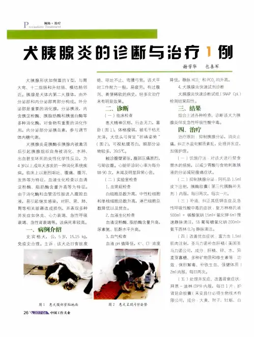 犬胰腺炎的诊断与治疗1例
