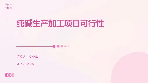 纯碱生产加工项目可行性