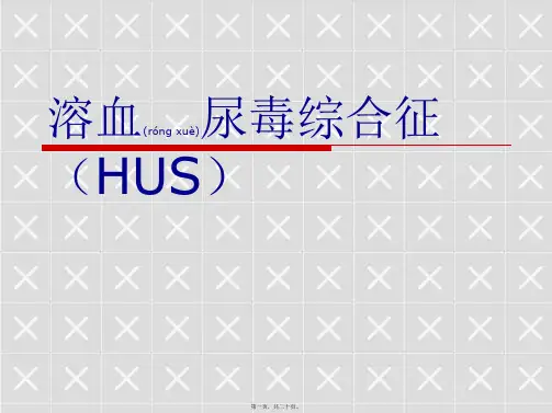 医学专题溶血尿毒综合征22454
