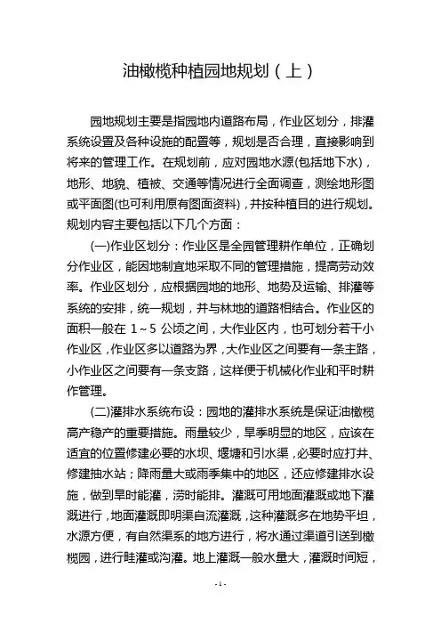 油橄榄种植园地规划(上)