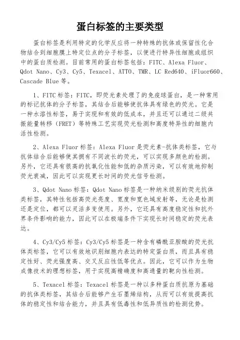 蛋白标签的主要类型