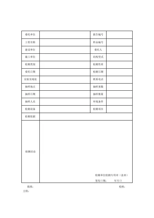 钢结构涂层厚度检测报告及检测原始记录