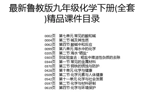 最新鲁教版九年级化学下册(全套)精品课件