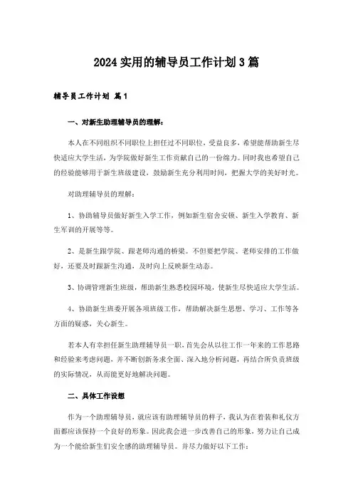 2024年实用的辅导员工作计划3篇