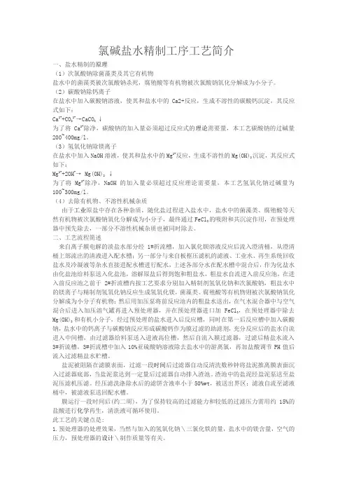 氯碱盐水精制工序工艺简介
