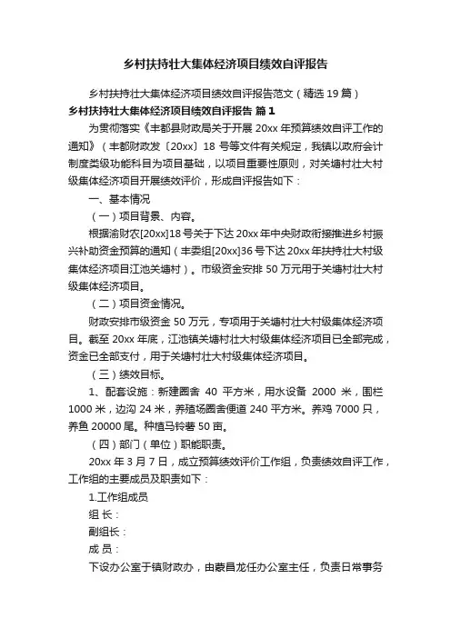 乡村扶持壮大集体经济项目绩效自评报告
