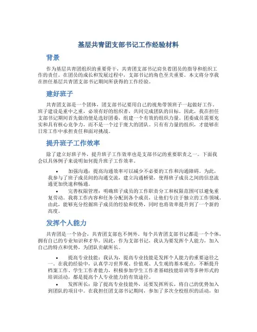 基层共青团支部书记工作经验材料