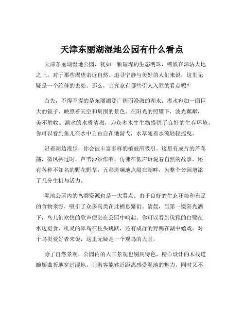 天津东丽湖湿地公园有什么看点