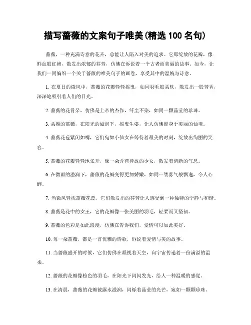 描写蔷薇的文案句子唯美(精选100句)